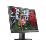 Monitor SH LED Lenovo ThinkVision LT2452p